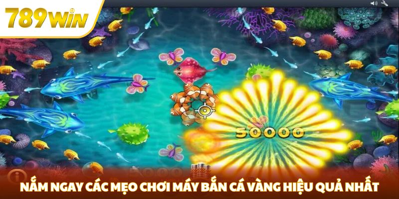 Máy Bắn Cá Vàng Tại 789WIN - Cách Chơi Và Mẹo Chiến Thắng Nhanh Nhất Các mẹo chơi máy bắn cá vàng