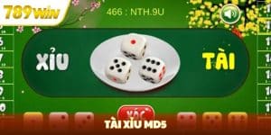 tài xỉu md5
