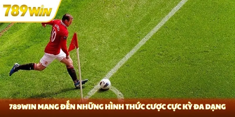 789win mang đến những hình thức cược cực kỳ đa dạng