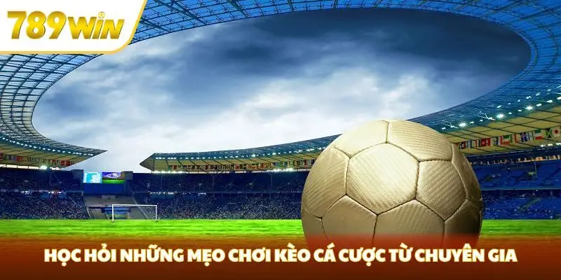 Học hỏi những mẹo chơi kèo cá cược từ chuyên gia