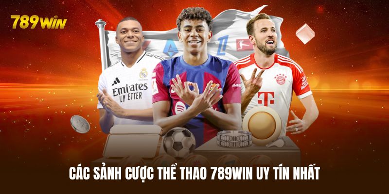 Các sảnh cược thể thao 789WIN uy tín nhất