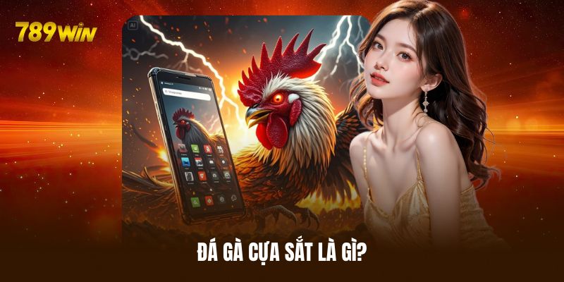 Sơ lược vài điều về bộ môn giải trí đá gà cựa sắt