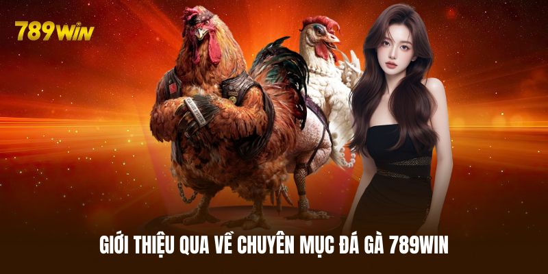 Sơ lược vài điều về chuyên mục đá gà 789WIN