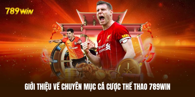 Sơ vài điều về chuyên mục cá cược thể thao 789WIN