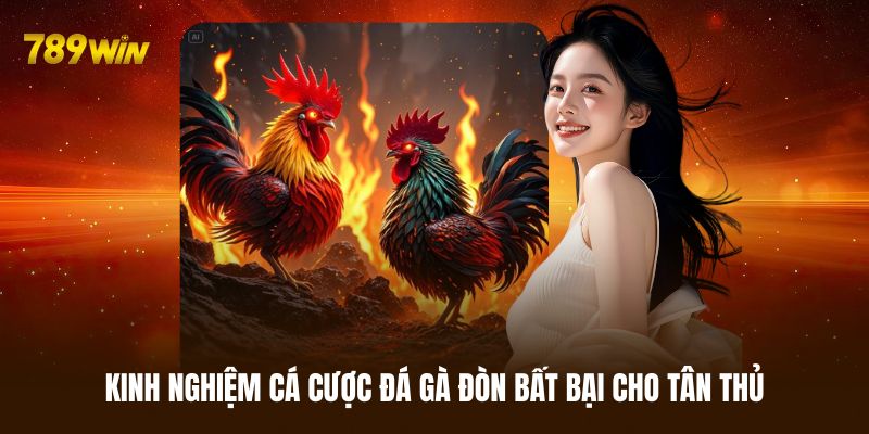 Kinh nghiệm cá cược đá gà đòn cực chuẩn từ cao thủ