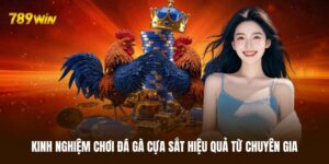 Kinh nghiệm cá cược đá gà cựa sắt bất bại từ cao thủ