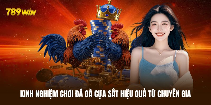 Kinh nghiệm cá cược đá gà cựa sắt bất bại từ cao thủ