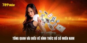Sơ lược vài điều về hình thức xổ số miền Nam