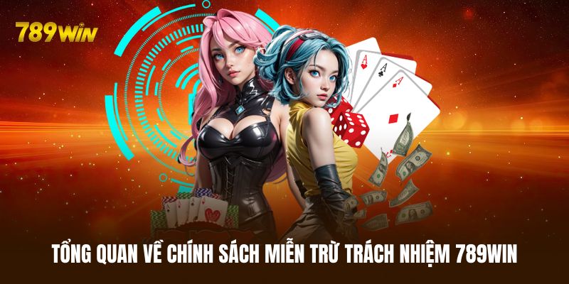 Sơ lược vài điều về chính sách miễn trừ trách nhiệm 789WIN